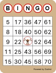 bingo